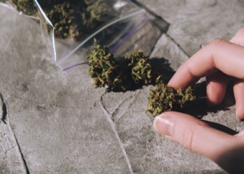 Umfrage: Wie empfinden Konsumenten legales Cannabis?