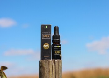 Fokus aufs Wesentliche – Pharmahemp Premium Black CBD-Tropfen