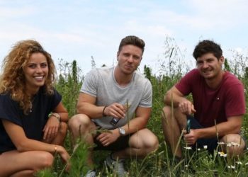 HANS Brainfood: Hanfsnacks aus Regensburg