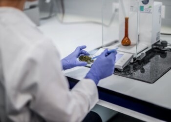 Cannabinoid-Gehalt bestimmen mit Hubertus Analytik