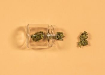 Ist für Cannabis Tabaksteuer zu bezahlen?