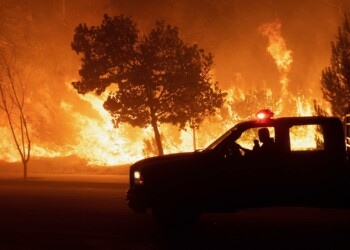 Waldbrände in USA – Cannabisindustrie stark betroffen