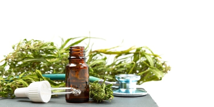Cannabis-gegen-Amyloidosen