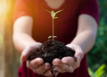 Französische-Behörden-suchen-Cannabis-Produzenten-für-Pilotprojekt