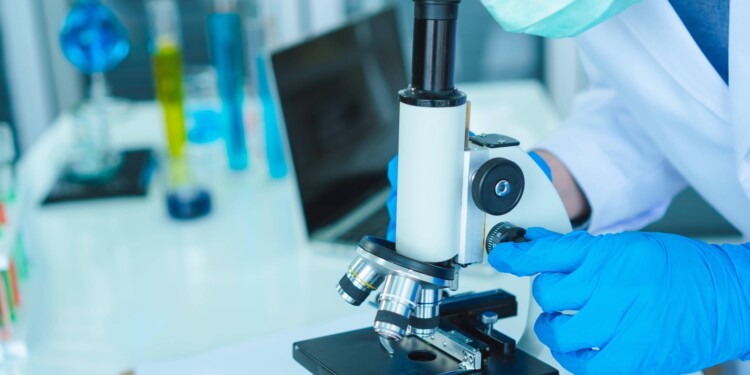 Gründung-Bundesverband-pharmazeutischer-Cannabinoidunternehmen