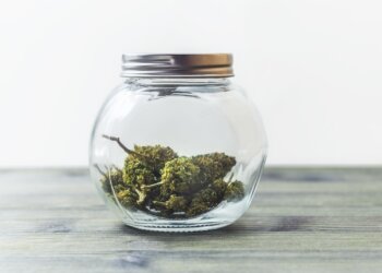 CBD-ist-kein-Betäubungsmittel