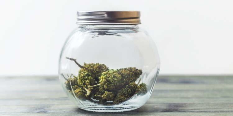 CBD-ist-kein-Betäubungsmittel
