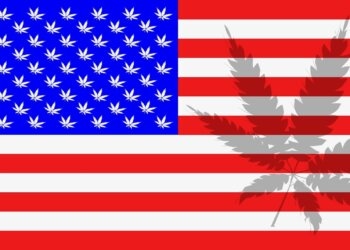 Cannabis-Legalisierung-in-mehreren-Bundesstaaten