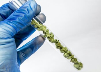 Chinesischer-Pharmagigant-investiert-64-Mio.-Euro-in-Hanfunternehmen