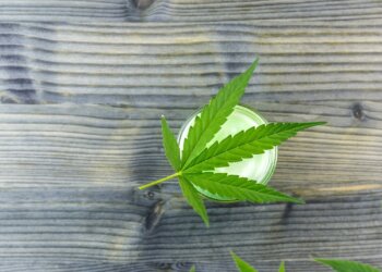 Der-CBD-Balsam-der-etwas-anderen-Sorte