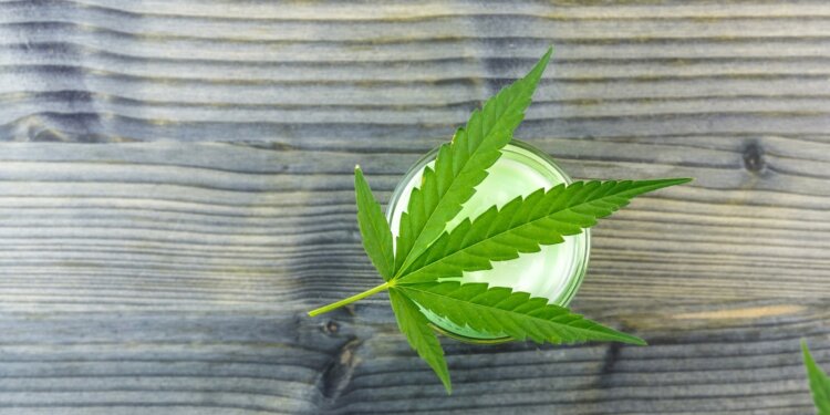 Der-CBD-Balsam-der-etwas-anderen-Sorte