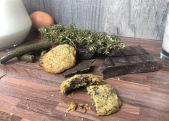 Schokoladen-Cookies-mit-Hanfsamenschrot