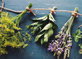 Über-Kräuter-im-Kissen-1