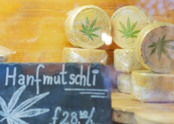 Über-Lebensmittel-mit-Cannabis-und-CBD