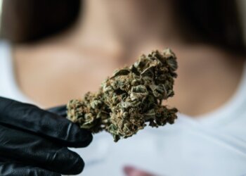 Wenn-Patienten-CBD-Strains-nicht-beim-Dealer-kaufen-können