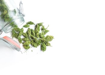 75-Millionen-Euro-für-medizinisches-Cannabis