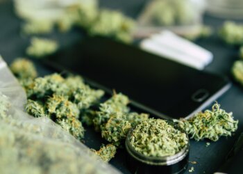 Neue-medizinische-Cannabisprodukte-für-Patienten