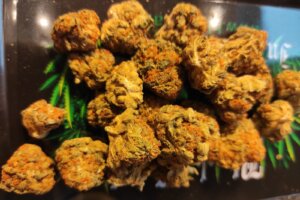 Cannabis-Sorte der Woche: Penelope von Tweed