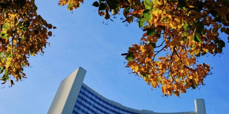 UN-Kommission-stimmt-Neubewertung-von-Cannabis-zu