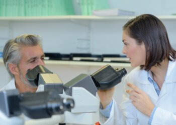 gemeinsame-Cannabisstudie