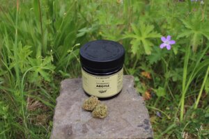 Cannabis-Sorte der Woche: Argyle von Tweed