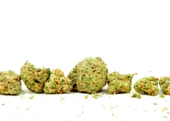 Cannabis-Verordnungen-in-Deutschland