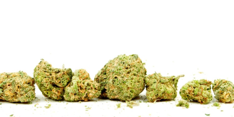 Cannabis-Verordnungen-in-Deutschland