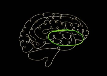 Cannabis-gegen-das-Thalamussyndrom