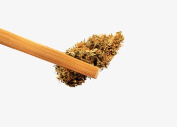 Drapalin-startet-Fortbildungsreihe