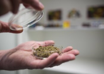 Haschisch-mit-synthetischen-Cannabinoiden