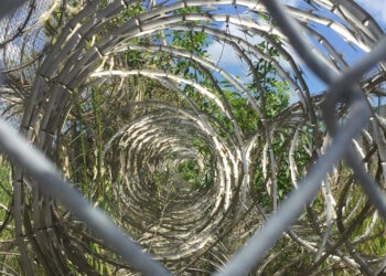 Häftling-nach-31-Jahren-Gefängnis-wegen-Cannabis-Verstoss-freigelassen