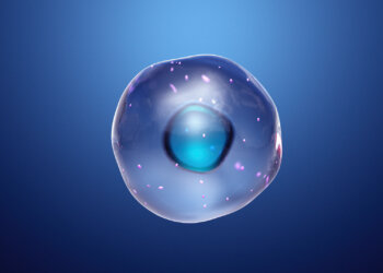 Medizinisches-Cannabis-für-die-Mitochondriopathie