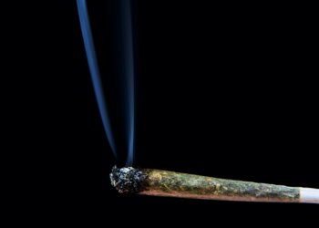 Verzögert-sich-die-Legalisierung