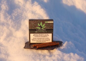 Villiger-Cannard-–-CBD-Genuss-mit-Stil-und-Tradition