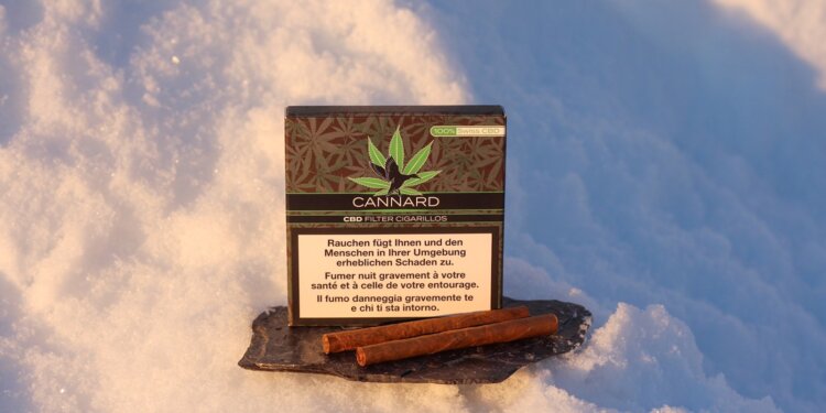 Villiger-Cannard-–-CBD-Genuss-mit-Stil-und-Tradition