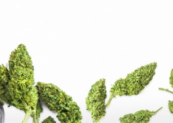 ADREXpharma-liefert-medizinisches-Cannabis