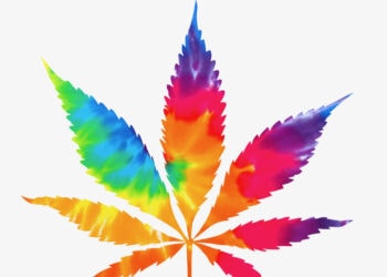 Cannabis-nicht-länger-als-gefährliche-Droge