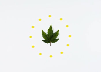 EU-reguliert-natürliches-CBD-in-Kosmetik-