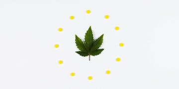 EU-reguliert-natürliches-CBD-in-Kosmetik-