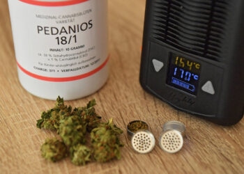 Medizinisches-Cannabis-aus-Dänemark-