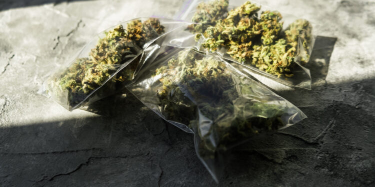 Neuer-Schnelltest-für-THC-CBD-von-Tilray