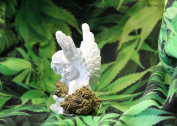 Patientengeschichten-Maria