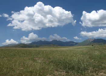 Usbekistan-Genehmigung-für-Anbau-von-medizinischem-Cannabis