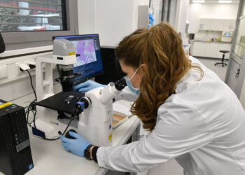 Wachstum-von-Glioblastomzellen