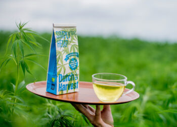 Dutch-Harvest-Simply-Hemp-Field