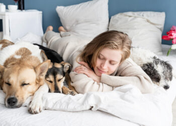 Tier-und-Mensch-Gleiche-Krankheit-gleiches-CBD-Produkt