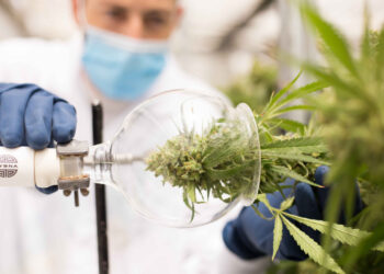 Untersuchungen-zum-Verlust-von-Terpenen