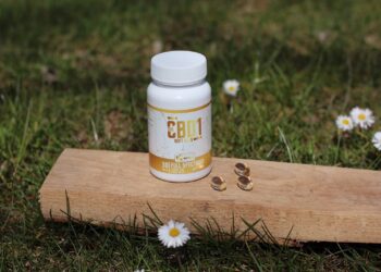 CBD-Versorgung-leicht-gemacht-TheCBD1-Soft-Gels-1