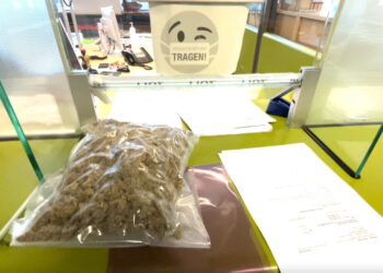 Zoll-beschlagnahmt-legal-importiertes-Cannabis