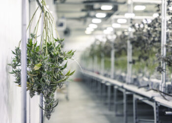 SynBiotic-SE-übernimmt-GECA-Pharma.